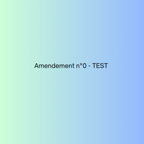 Exemple d’amendement : Amendement n°0